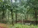 24 Cent Residential Land For Sale at Palazhi, Kozhikode (nt)