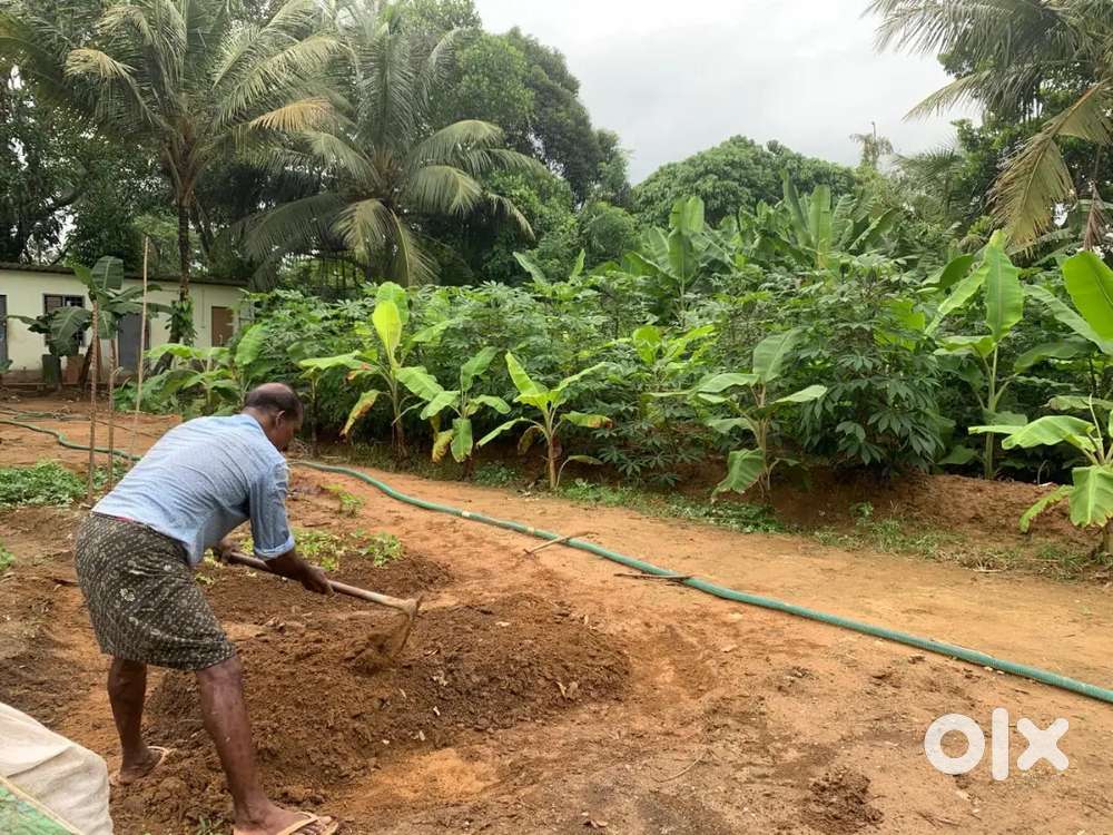 Residential & Commercial land for Development