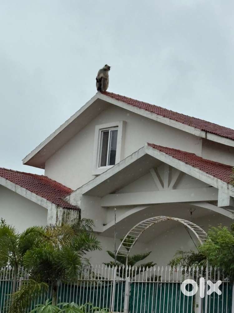 BHK Italian style Independent bungalow