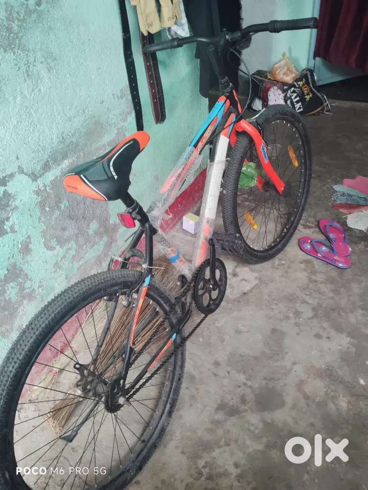 Cycle for sheel