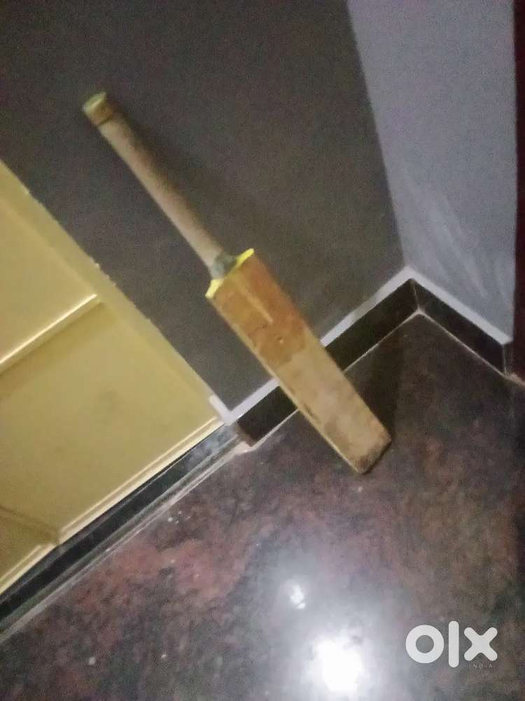 Circket bat kashmir willow new sg