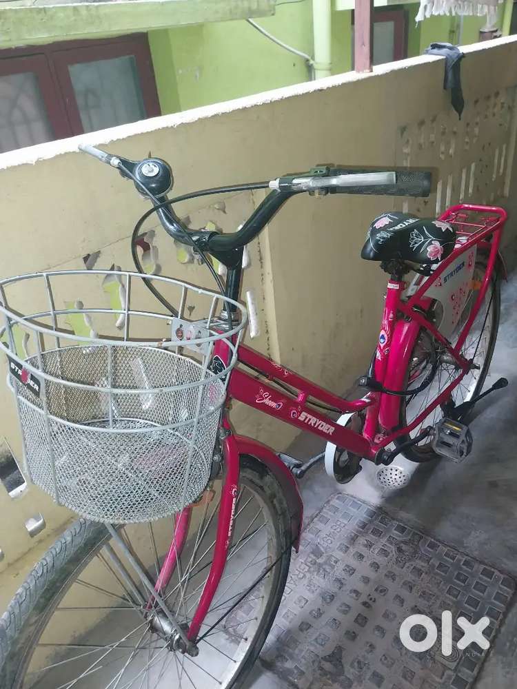 Brand new cycle