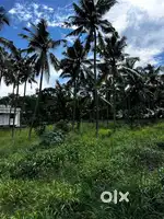 3 ACRES RESIDENTIAL LAND SALE IN KOWDIAR
