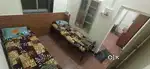 Cot basis rental