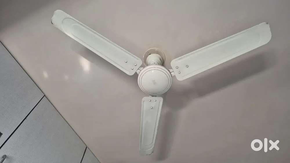 Ceiling fan