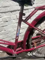 Tata cycle