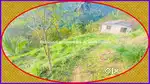 5 Acres Land for sale in near KUTTIYADI @ 20 Lacs/Acre