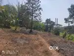 27 Cent West-Facing Plot in Nellikkara, Kenichira Wayanad,Homestay Lan