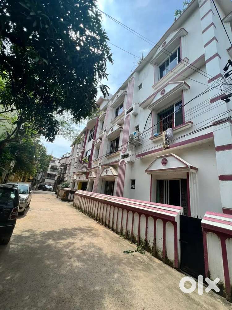 Telecalling & Marketing Girl