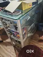 Display counter