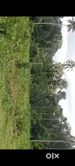 KOTTAYAM 253 CENT 95000/CENT