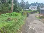 Muvattupuzha thrikallathur mc road 100 metr house plot 3 lak