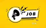 IT & non IT freshers