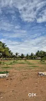 North Facing plots at Annur