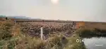 Plot near by Nhava shiva and dronagiri railway Station