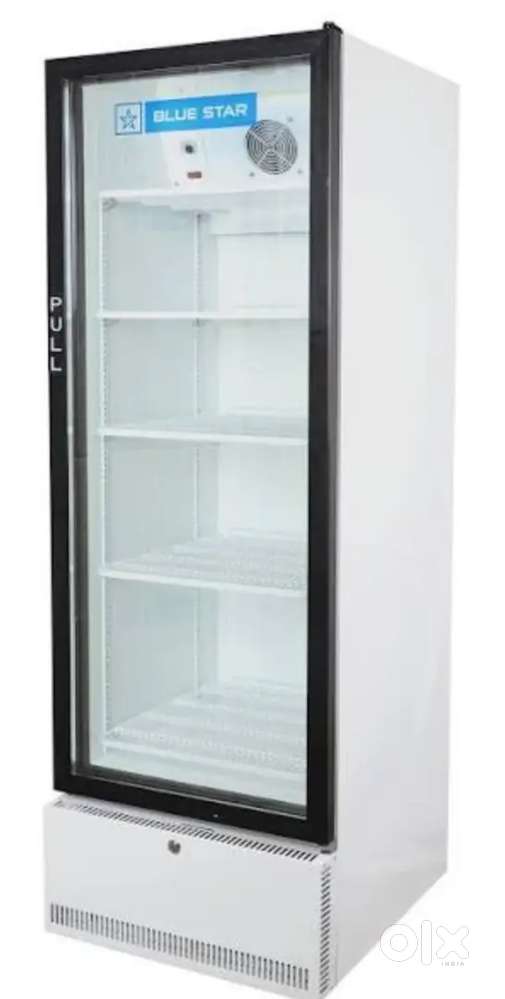 Blue Star fridge