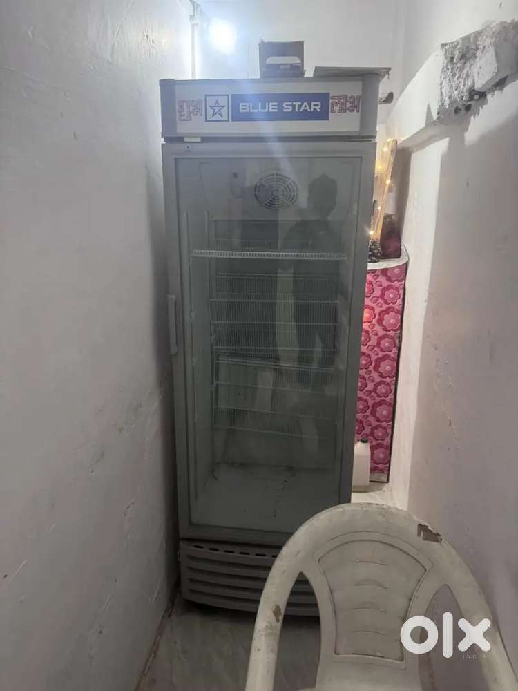 Argent freeze sale 30,000