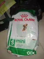 Dog food cat food