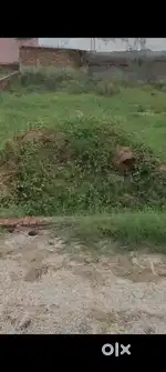 Sangamvihar