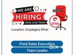 Team Leader