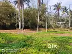 Riverside 50-Cent Plot for Sale in Kenichira Wayanad