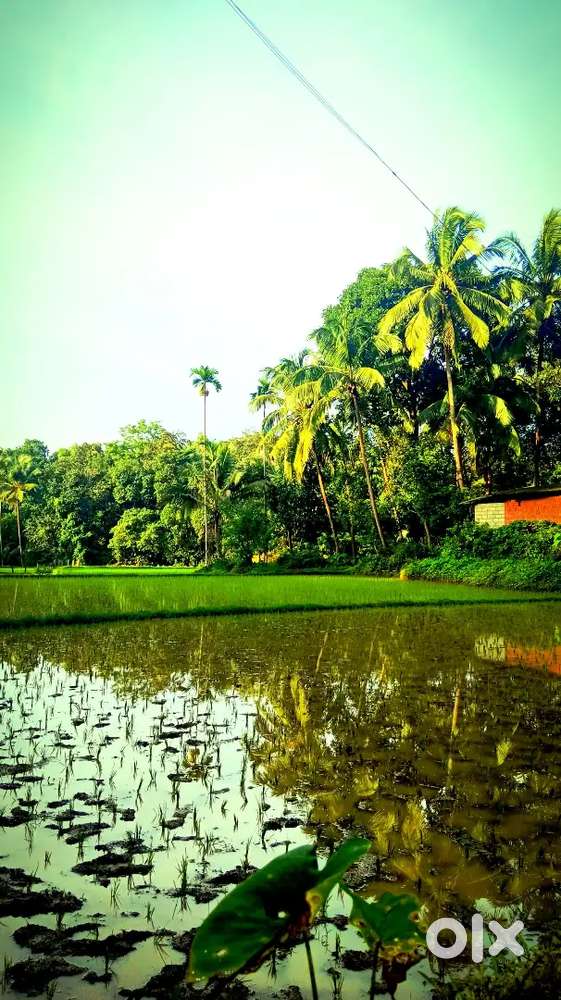 Land for sale