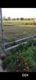 मेरा प्लाट (23×50=1150 वर्ग फ़ीट )बिकाऊ है धौलाखेरा गोरापड़ाओ हल्द्वानी