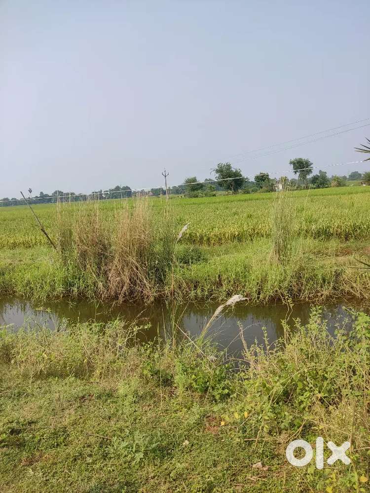 12 biga land for sell