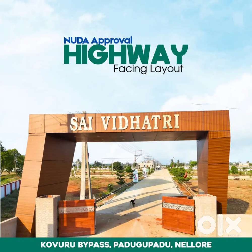 NUDA APPROVAL & CLEAR TITTLE