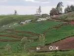 Good climate and good road point best area with ooty