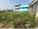 Land for sale in pinapadu
