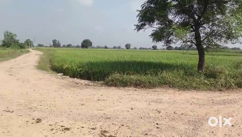 5 Kanal R Zone Land for sale