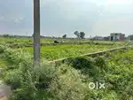 82 Gaj ka plot
