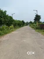 Ready to move plot available