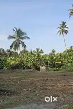 ഇരിഞ്ഞാലക്കുട എടതിരിഞ്ഞിയിൽ ഒരു ഏക്കർ കര ഭൂമി വില്പനയ്ക്ക്