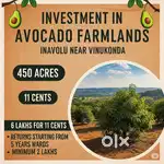 1+2 benefits at one purchase at VINUKONDA Avocado farm land