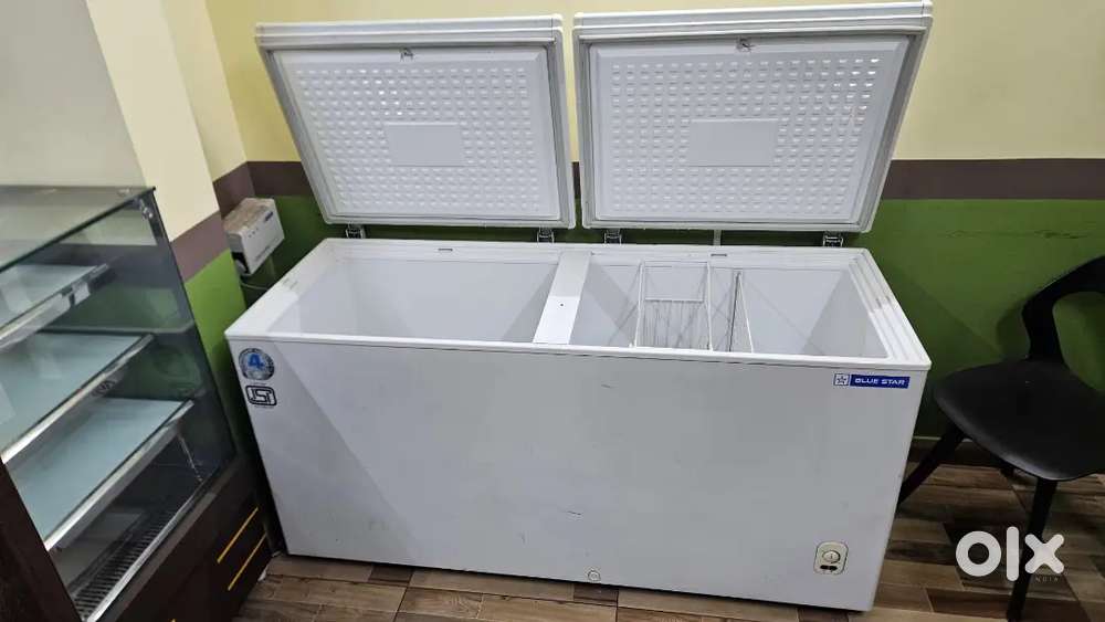 Double door freezer by blue star