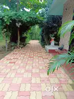 House for rent near salipur,cuttack
