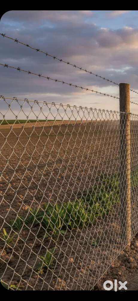 Farmland bargi road near ranidurgawati samdhi road