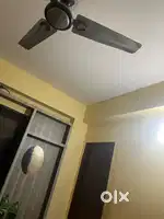 Flt p ek bnde ki jrurat h