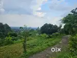 Thano Hills plots available at reasonable price