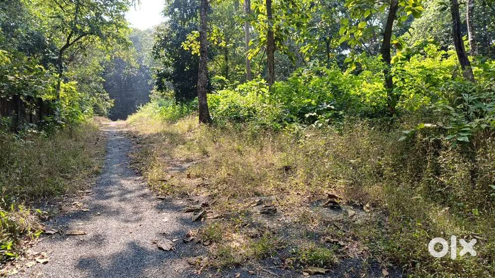 Plots For Sale in Loutolim Field view peaceful location