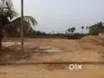 Patta Land for Sale –12 Katha in Borjalenga, Cachar