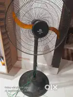 Bajaj tez fan