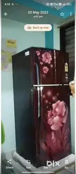 Freeze double door