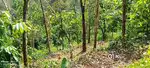 കൃഷിയോഗ്യമായ സ്ഥലം റോഡ്, ഇലക്ട്രിസിറ്റി പഴയ വീട്