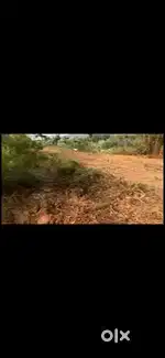 Land for sale only serious buyer brokers excuse