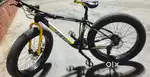 Zeus  fat tire  cycle