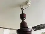 Ceiling fan