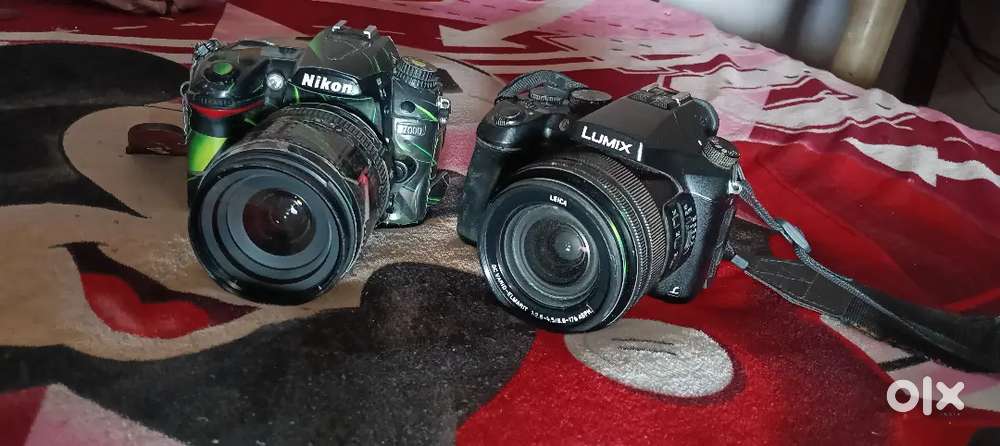 Nikond7000&lumixfz2500